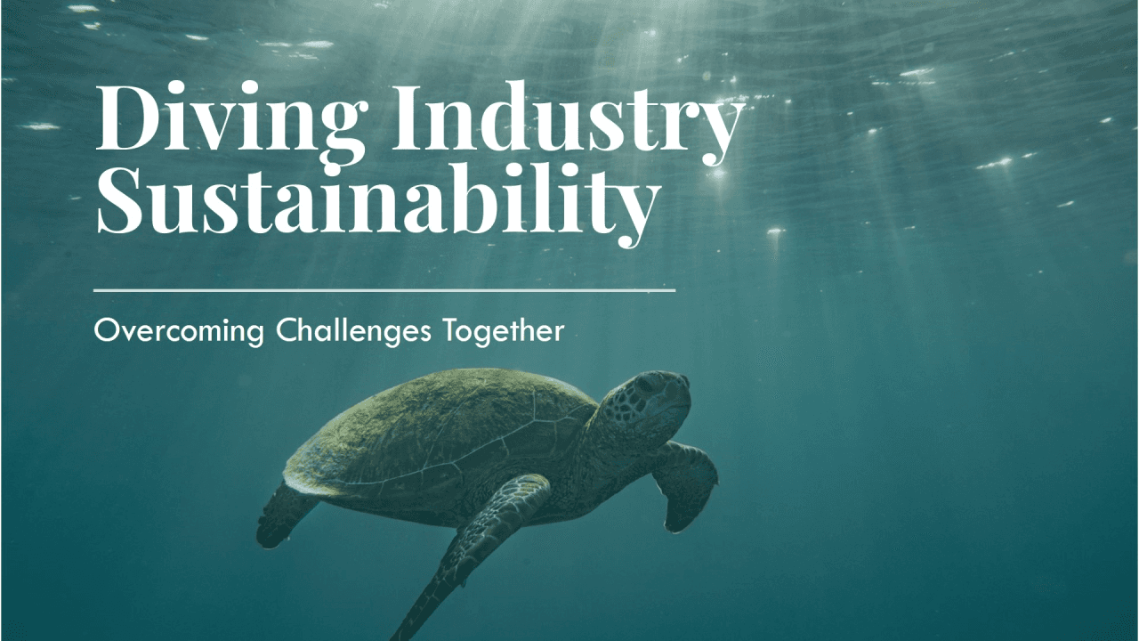 Overcoming Challenges in the Diving Industry: A Path to Sustainability