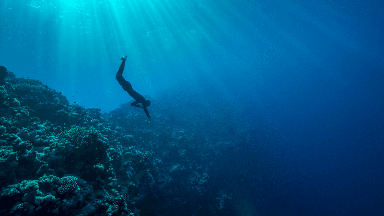 أهمية البحر الأحمر في الحضارة المصرية القديمة وإدارة الموانئ الحديثة