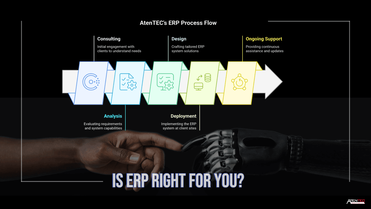 When Business Demands an ERP